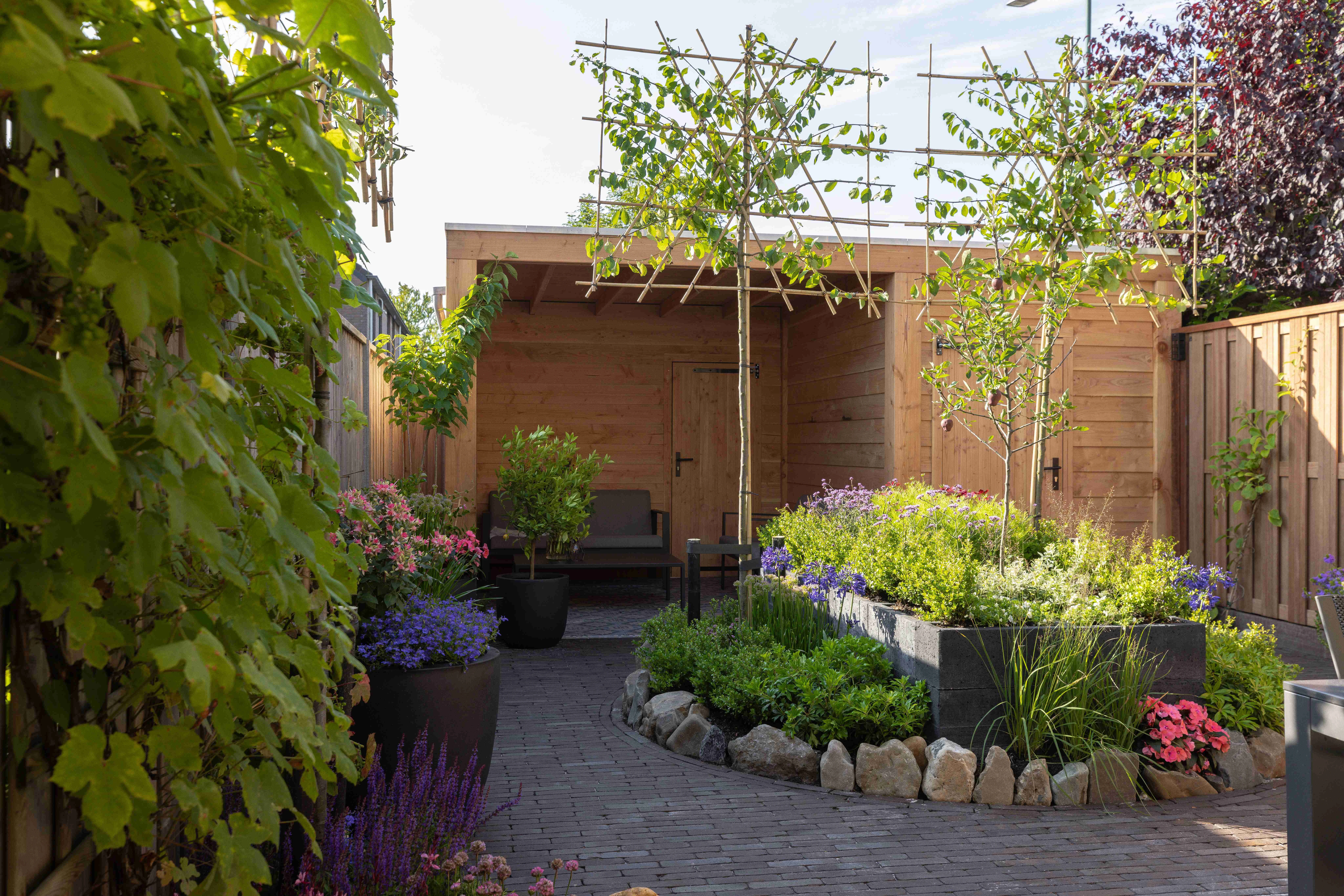 Douglas overkapping, 500 x 300, met schuur en achterwand, Westwood Modern - Afbeelding 3